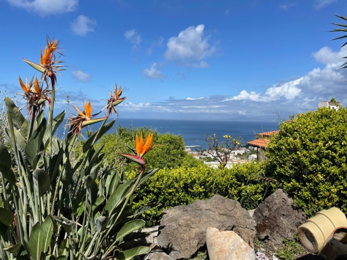 PHOTO-2025-04-25-19-12-44