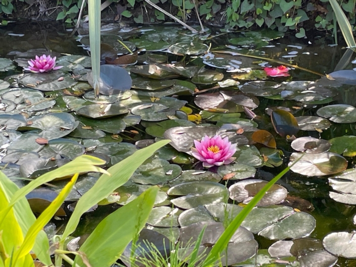 PHOTO-2025-04-25-19-12-46