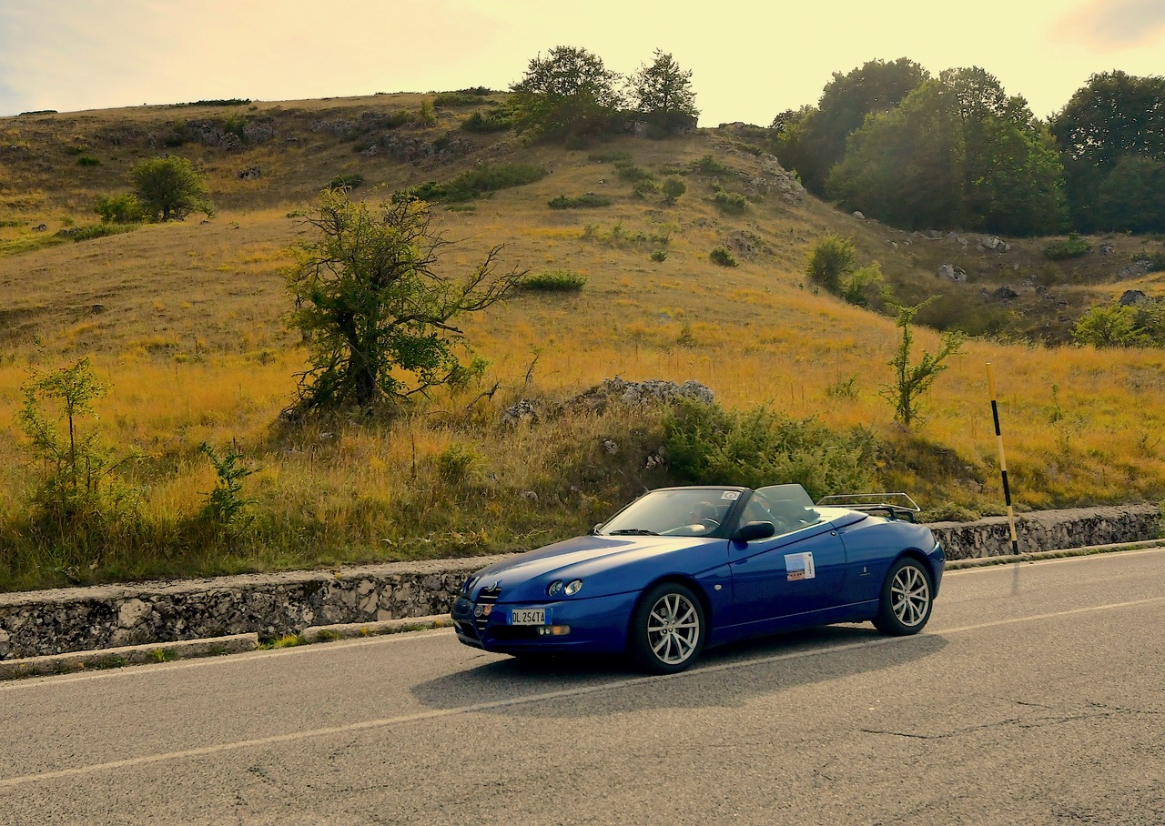 Alfa spider 2.0 del 1995 di Massimiliano Olivieri